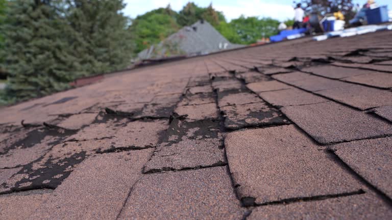 Best Cold Roofs  in Acton, CA