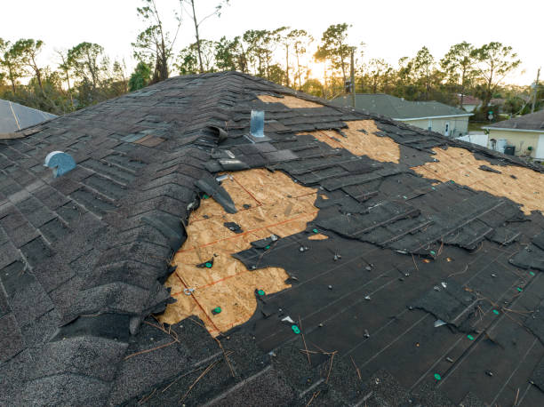 Best Solar Panel Roofing Installation  in Acton, CA