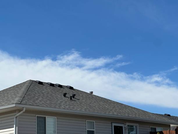 Best Roofing for New Construction  in Acton, CA